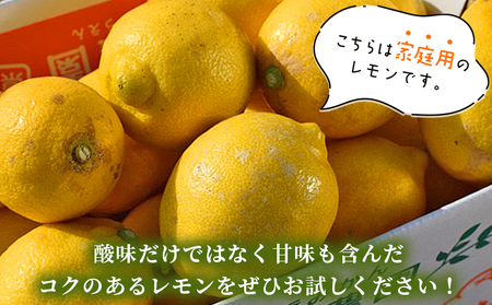 ＜天晴レモン ご家庭用 約2kg＞ フルーツ 果物 くだもの レモン れもん 檸檬 柑橘 訳あり わけあり ワケアリ 自宅用 料理 国産 国産レモン 愛媛県産 特産品 株式会社笑丸 愛媛県 西予市【常