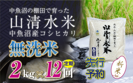 【令和8年産 先行予約】【定期便／全12回】無洗米2kg 新潟県魚沼産コシヒカリ「山清水米」