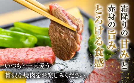 白川郷 飛騨牛 カルビ（肩バラ肉）焼肉用 500g カルビ [S335]