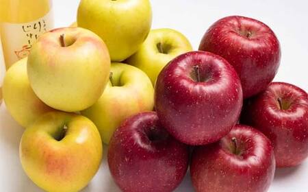 サンふじ・ぐんま名月 詰め合わせ (中玉) 約3kg ［10-11個入］ 【留長果樹園】 青森りんご ふじ ぐんま名月 フルーツ 果物 くだもの 2種 セット 青森県 南部町 三戸 F21U-599