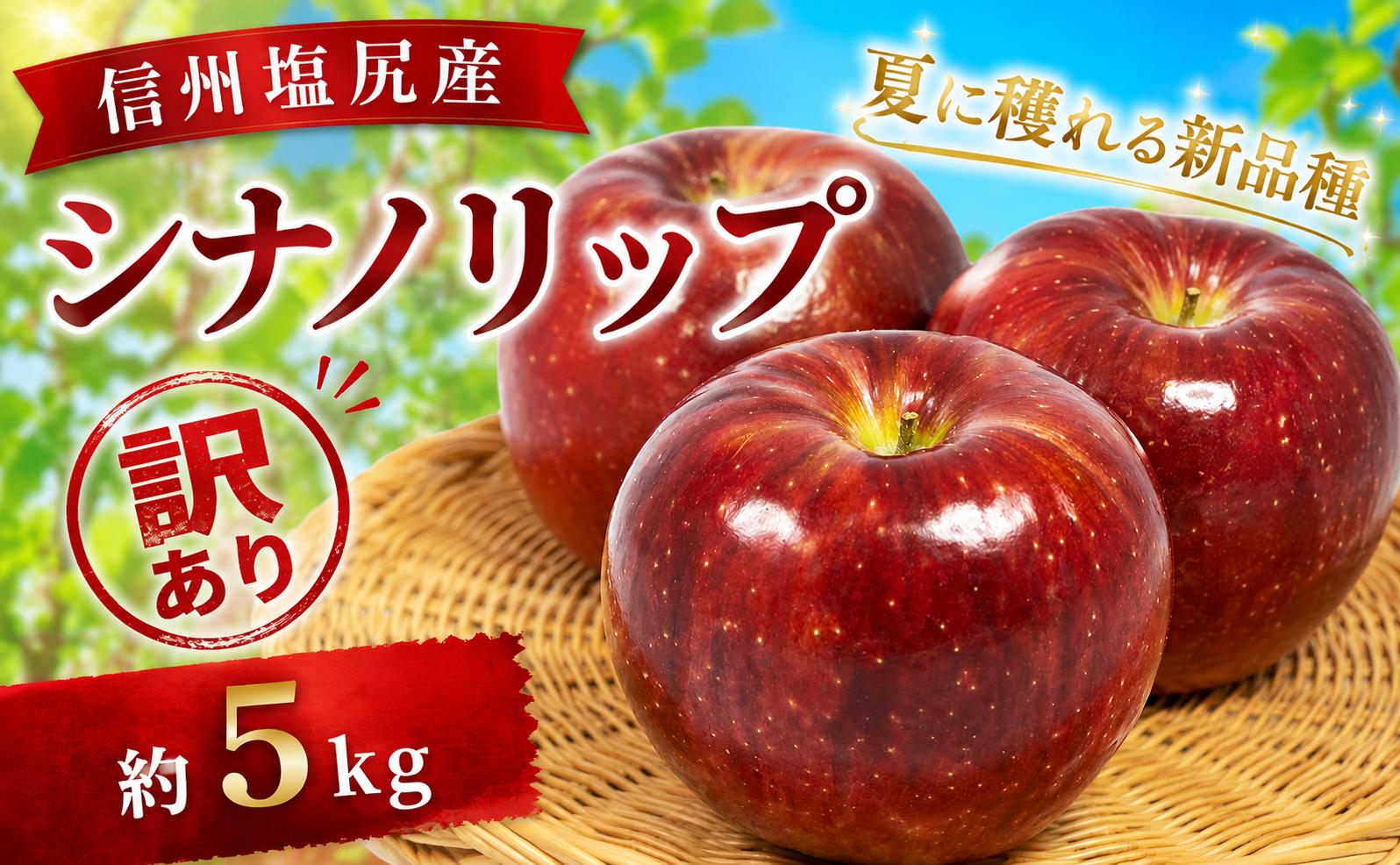 
                  【訳あり】モモセ果樹園 信州塩尻産 シナノリップ 約5kg ｜ 果物 くだもの フルーツ シナノリップ りんご 林檎 信州 長野県 塩尻市
                