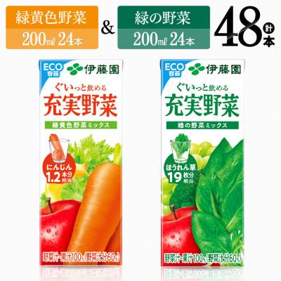 ふるさと納税 川南町 伊藤園充実野菜緑黄色野菜ミックス(紙)24本+伊藤園充実野菜緑の野菜ミックス(紙)24本(川南町)