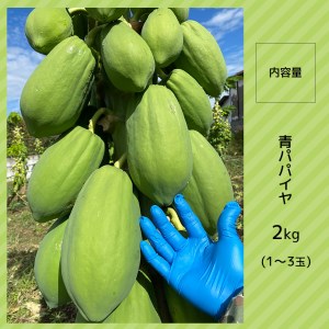 【2024年先行予約】青パパイヤ 野菜 健康野菜 2kg 真岡市産