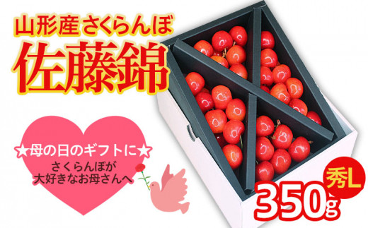 ★５月まるごと母の日★さくらんぼ 佐藤錦 秀L 350g (5/15～発