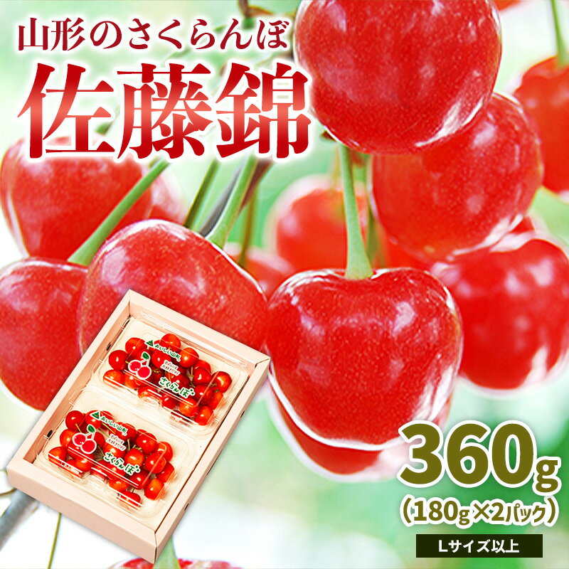 【ふるさと納税】山形のさくらんぼ 佐藤錦 360g Lサイズ以上 (180g×2パック) 【令和8年産先行予約】FS25-023