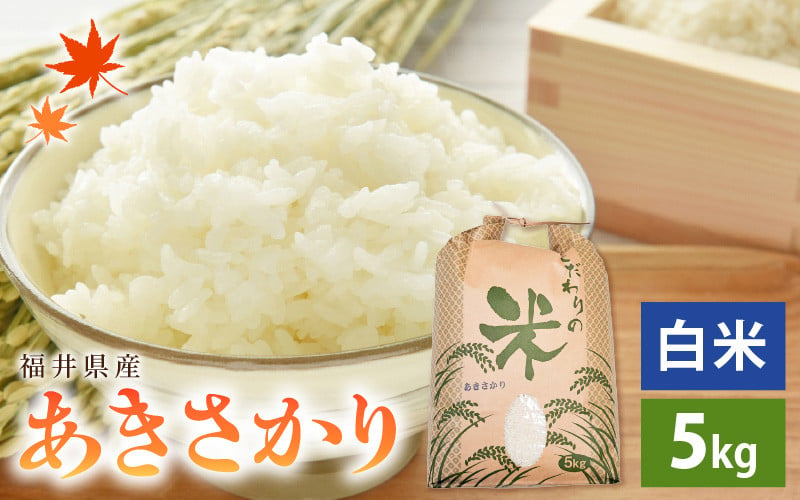 
                   令和7年産 あきさかり 5kg 福井県産 コシヒカリ系統品種【白米】【お米 アキサカリ 5キロ】 [e30-a093]
                