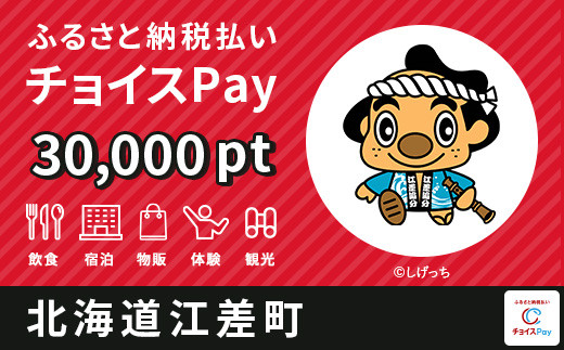 
                  江差町チョイスPay 30,000pt【会員限定のお礼の品】
                