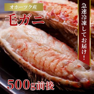 ふるさと納税 旭川市 北海道産　毛ガニ　1尾　500g前後_01191