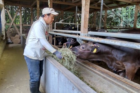 ＜なかむら謹製＞【博多和牛】黒毛和牛肩ロースすき焼き用うす切り400g【C-149】博多和牛 黒毛和牛 すき焼き 筑穂牛 肩ロース ロース