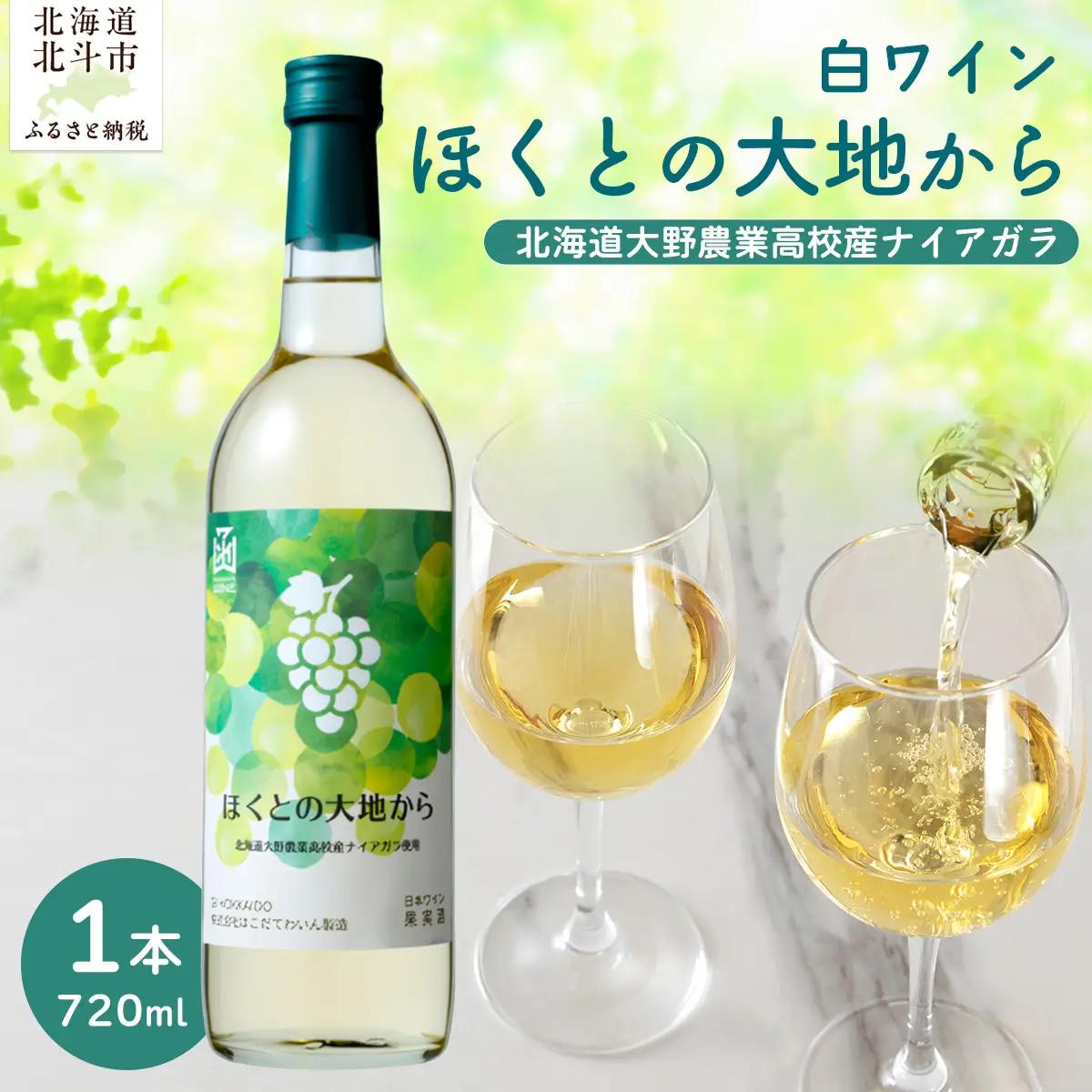 白ワイン「ほくとの大地から」～北海道大野農業高校産ナイアガラ～白720ml HOKJ008