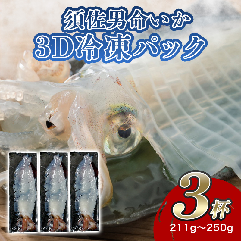 自宅で透明感を再現！須佐男命いかの姿造り（刺身）特殊冷却「3D冷凍」パック ３個　｜hgH00043