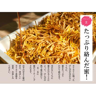 ふるさと納税 富士市 訳アリ生芋けんぴ5個セット [sf104-001] |  | 02