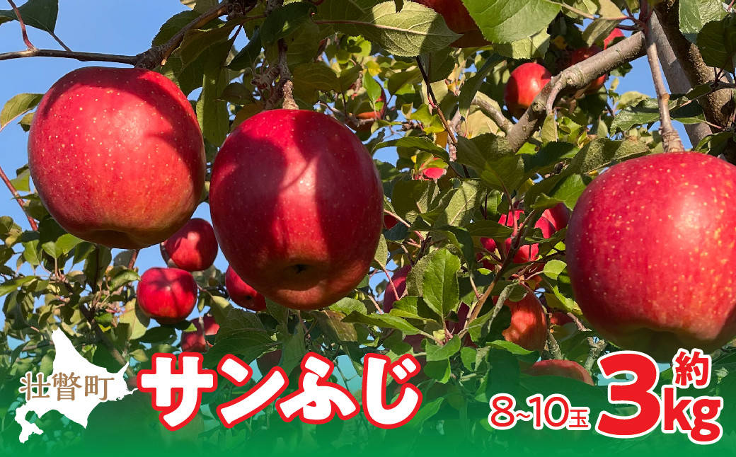 
＜2024年12月上旬よりお届け＞北海道壮瞥町　りんご　品種名「サンふじ」8～10玉約3kg 【 ふるさと納税 人気 おすすめ ランキング りんご リンゴ 林檎 サンふじ ふじ 甘い ジューシー 北海道 壮瞥町 送料無料 】 SBTF006
