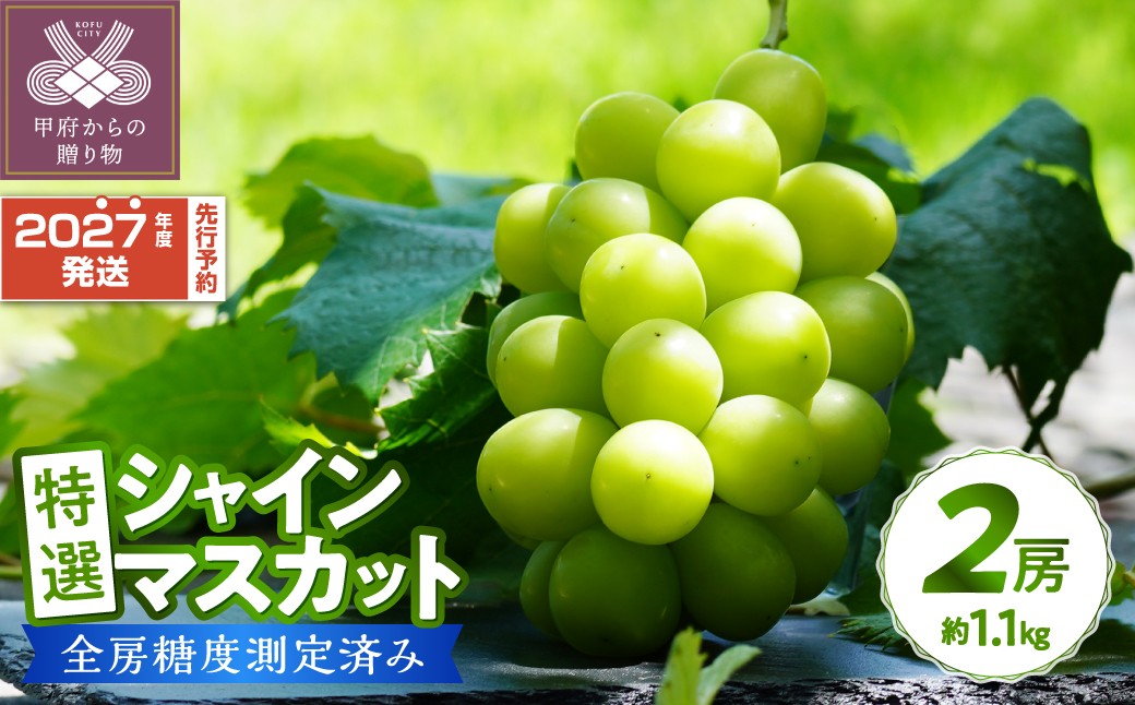 【先行予約・数量限定】特選 シャインマスカット2房（約1.1kg）