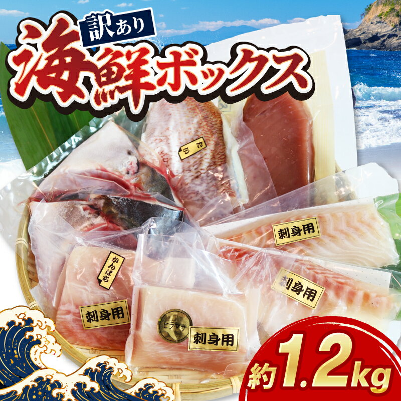 【ふるさと納税】 訳あり 海鮮ボックス 1.2kg セット 海鮮 魚介類 魚 鮮魚 冷凍 まぐろ マグロ 鯛 かんぱち 勘八 シマアジ ヒラマサ 刺身 刺し身 お刺身 小分け 国産 三重県 南伊勢 伊勢 志摩 城水産 12000円 一万二千円 一万五千円以下