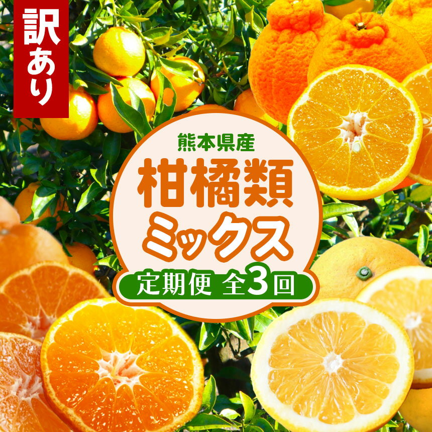 【ふるさと納税】【 定期便 3回 】 おためし 訳あり 柑橘類 定期便 みかん 不知火 河内晩柑 後藤農園 | ミカン 果物 フルーツ 大容量 家庭用 キズあり 大小混合 定期 産地直送 熊本 生産者直送 旬 送料無料 熊本県 玉名市