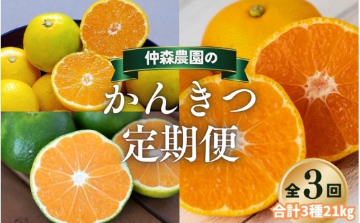 【全3回】仲森農園の柑橘定期便 合計3種 21kg 【極早生温州・由良早生・早生温州「完熟熊野みかん」】 みかん ミカン 蜜柑 温州みかん 温州ミカン 柑橘 みかん定期便 フルーツ定期便 果物定期便 柑橘定期便 フルーツ 果物 くだもの 甘い 旬 人気 産地直送 三重県 熊野市【nkmr-tkb0013】
