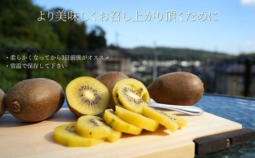 画像はイメージです。