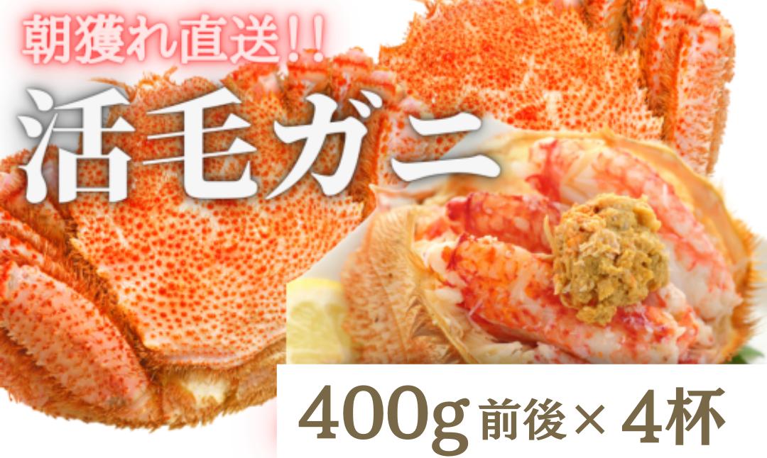
            【令和8年発送】三陸産 三陸活毛ガニ 400g×4杯【2026年3月～4月発送】【05】
          