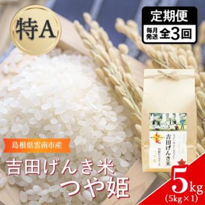 ふるさと納税 雲南市 【毎月定期便】島根県雲南市産　吉田げんき米　つや姫 　5kg(5kg×1)全3回