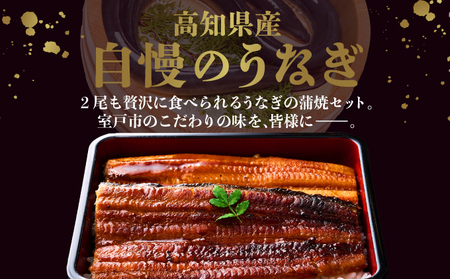 【6回定期便】ヤマジュウ厳選! 国産 ウナギ 蒲焼き 2尾(1尾あたり約175g～180g)×6回 6ヶ月 タレ付き 鰻 うなぎ かば焼き 加工品 魚 魚介類 高知県産 冷凍 送料無料 yj047