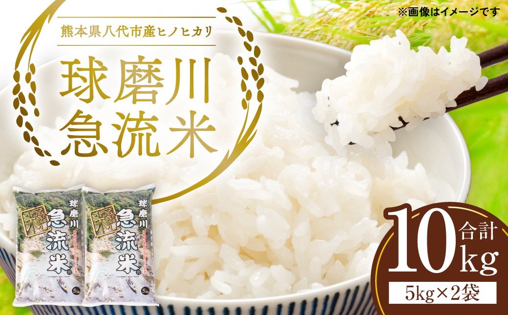 《令和7年産》熊本県八代市産 球磨川急流米 ヒノヒカリ 10kg 国産 白米 精米 お米 コメ 米 ライス ご飯 ごはん 白飯