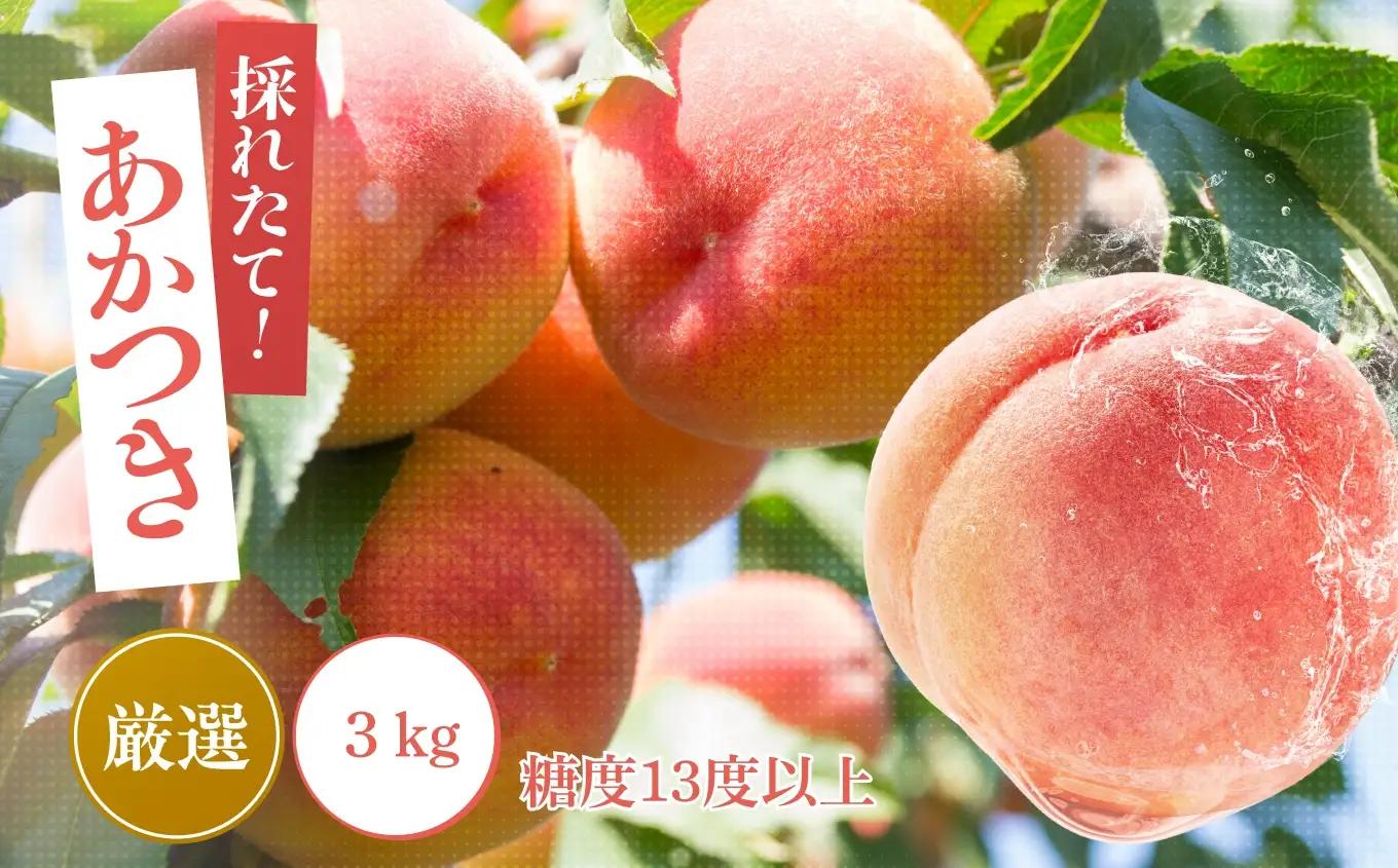 桃 あかつき 糖度13度以上 約3kg 9～10個入 【2026年7月中旬～発送】