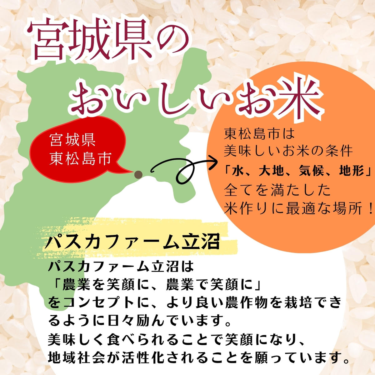 【先行予約】 【令和8年産】 ササニシキ 精米 5kg   宮城県産