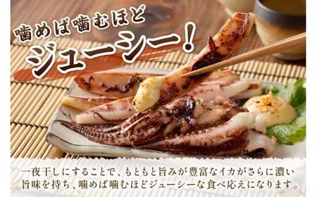 島根県産スルメイカ一夜干しカット済 計800g（小分け200ｇｘ4袋） 産地直送 干物 一夜干し イカ 人気 大容量 小分け 国産 【1932】