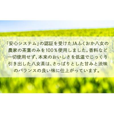 ふるさと納税 八女市 【産地直送】福岡の八女茶 煎茶ペットボトル(500ml×24本) |  | 02