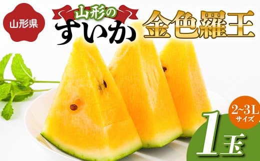 《先行予約 2025年度発送》山形県産すいか 1玉（2～3Lサイズ）  スイカ すいか 西瓜 デザート フルーツ 果物 くだもの 果実 食品 山形県 FSY-1273
