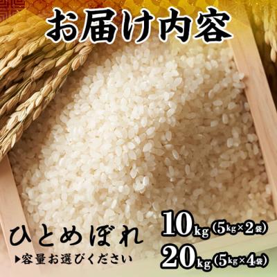 ふるさと納税 境港市 令和7年産米鳥取県産ひとめぼれ(10kg) |  | 01