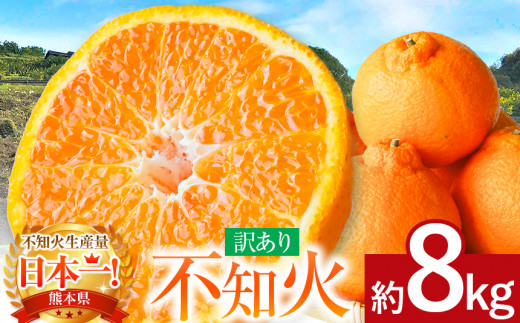 ≪ ご家庭用 ≫ 不知火 約8kg | フルーツ 果物 くだもの 柑橘 ミカン みかん しらぬい 熊本県 玉名市