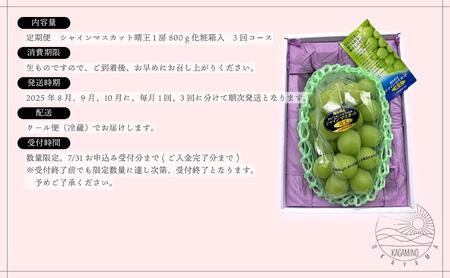＜定期便全3回＞シャインマスカット晴王1房800ｇ化粧箱入　3回コース