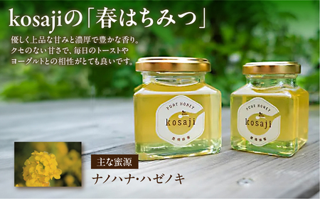 豊橋蜂蜜【kosaji】春はちみつ 300g 訳あり(100g×3) 蜂蜜 はちみつ 国産 常温 はちみつ ハチミツ 蜂蜜 ハニー 送料無料 愛知県 豊橋市