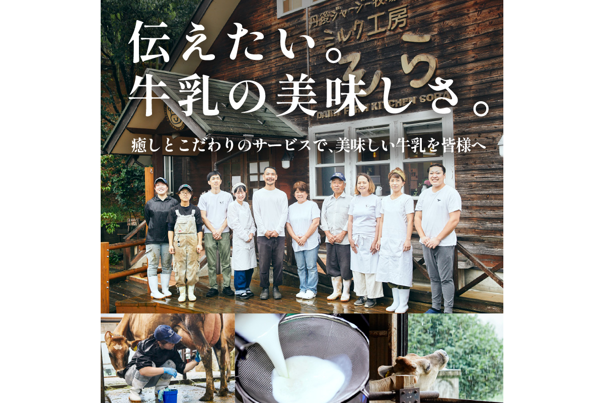 ジャージーミルクピス(500ml×4本セット)化粧箱入  ミルクピス乳製品丹後ジャージー牧場ミルク工房そらジャージー牛乳の美味しさ広がる乳酸菌ドリンク乳酸菌飲料　TJ00017