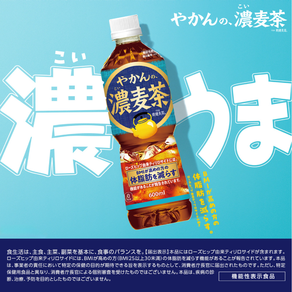 【3ヶ月定期便】【機能性】やかんの濃麦茶 from 爽健美茶 600mlPET×24本｜飲料 ドリンク 飲み物 お茶 北海道 札幌市