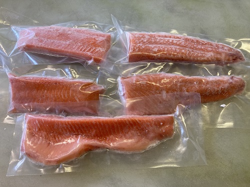 北海道　国産ドナルドサーモン(生食用)　500g　小分け4パック前後