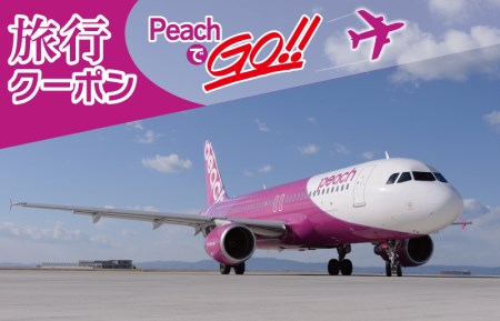 PeachでGo！！泉佐野市宿泊 旅行クーポン（90,000円分）【宿泊 旅行 ホテル トラベル】