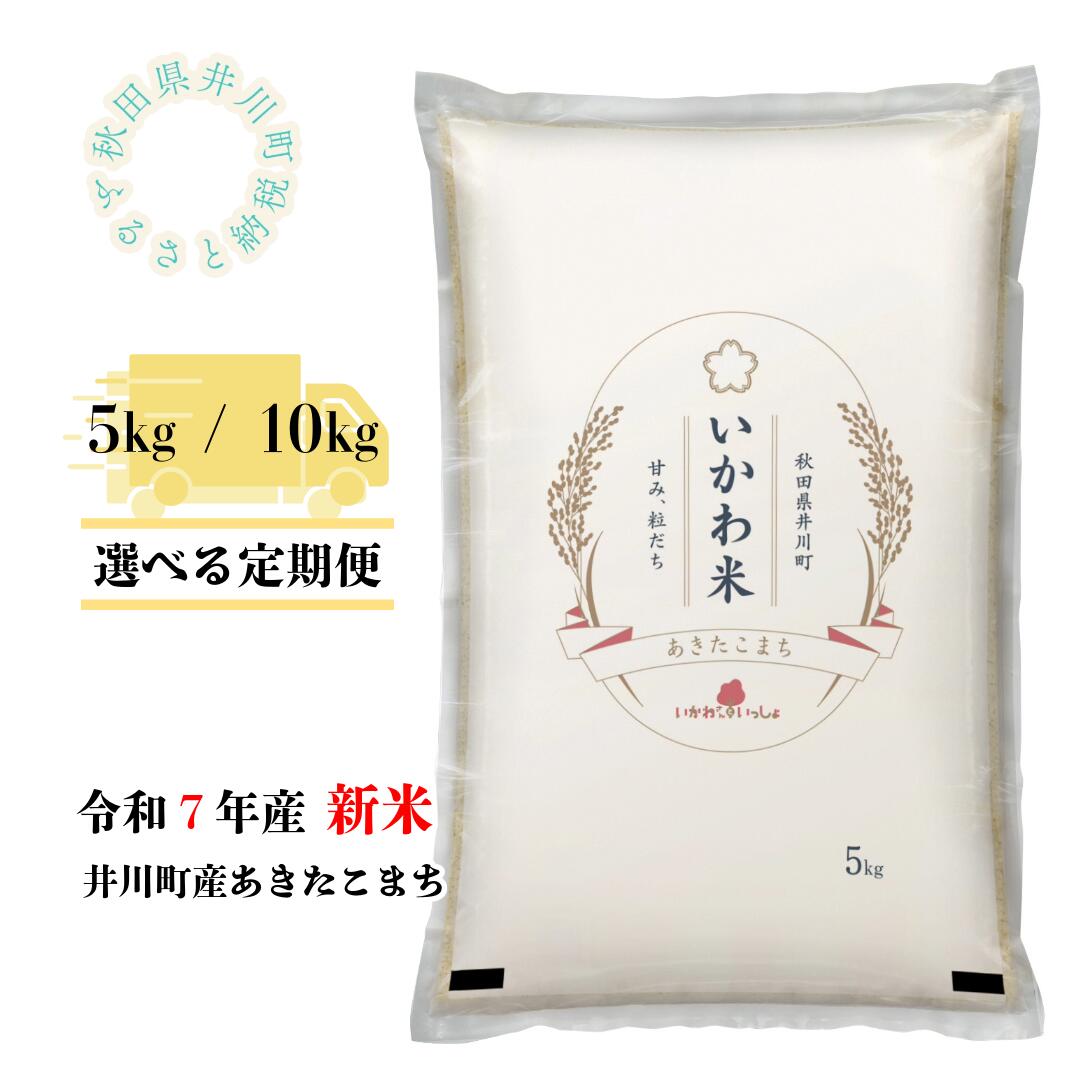 【ふるさと納税】【令和7年産先行受付】あきたこまち　定期便5kg　10kg　精米　秋田県井川町産
