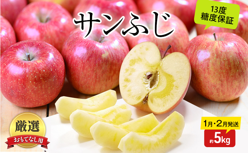 りんご 【1月・2月発送】 糖度13度以上 おもてなし用 家庭用 サンふじ 約 5kg 【 青森りんご  果物 フルーツ デザート 食後 青森県産 産地直送 贈り物  】