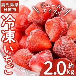 No.298 冷凍いちご(計約2kg・約1kg×2) 国産 九州産 苺 いちご イチゴ 冷凍 果物 フルーツ 減農薬 アイス【片平観光農園】