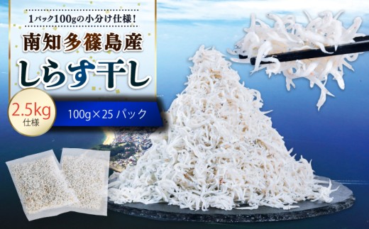 しらす干し 約2.5kg（100g×25パック） 南知多篠島産 大一商店 冷凍 小分けパック