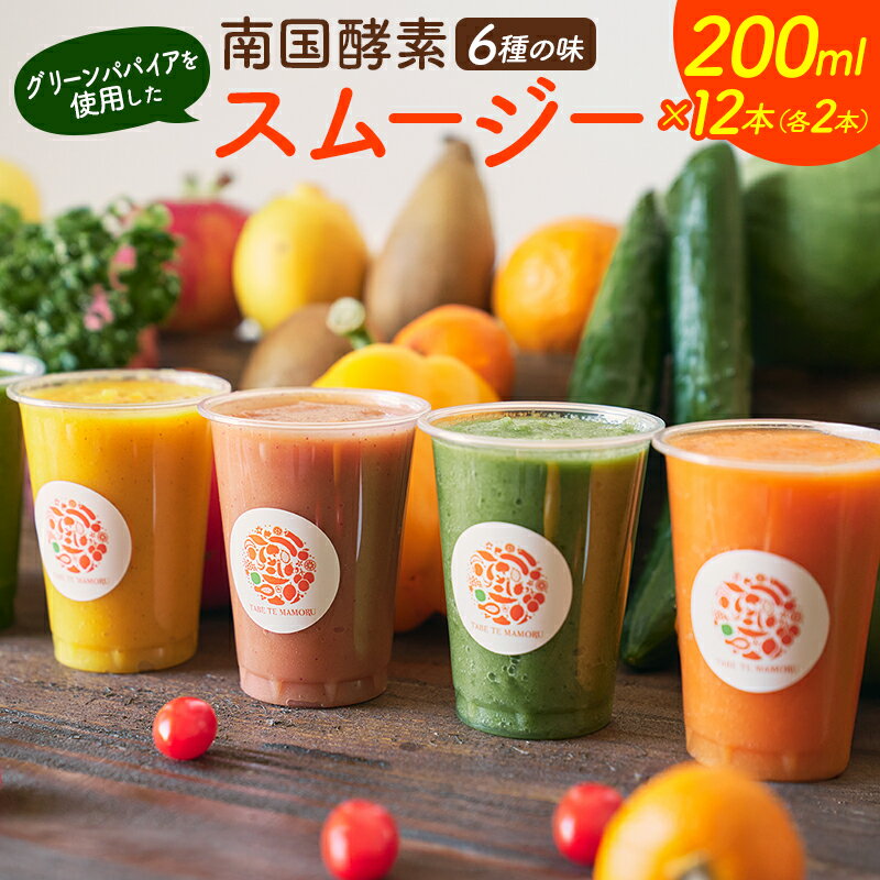 【ふるさと納税】南国酵素スムージー グリーンパパイア 200ml×12本 全6種 宮崎県産