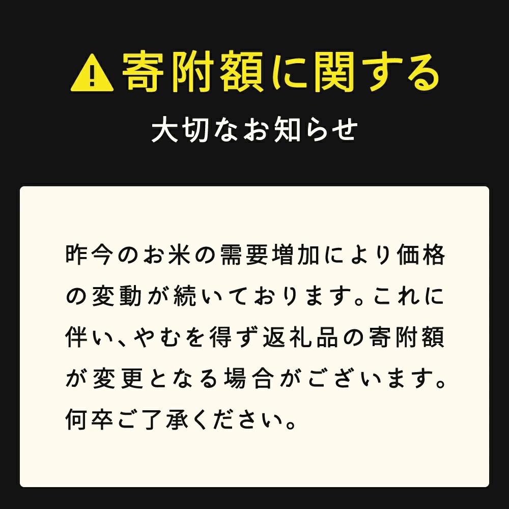 ＜先行予約＞新米 つや姫 精米 20kg 令和8年産 2026年産 山形県産 11月中旬~11月下旬頃に順次発送 tf-tssxb20-11s 11月中旬~11月下旬頃に順次発送