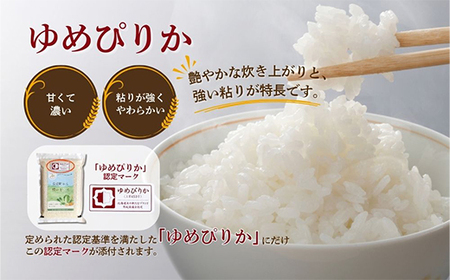 【令和7年産・無洗米・真空パック】長沼町産ゆめぴりか 2kg×3袋【1711210】