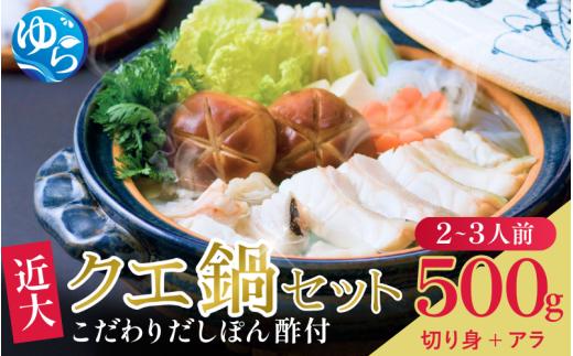 近大クエ鍋セット ( 500g ）こだわりだしぽん酢付き【2025年11月下旬～12月中旬発送】【akd501-1】