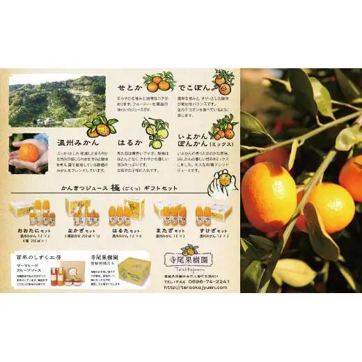 柑橘ジュース「極っ」またざセット