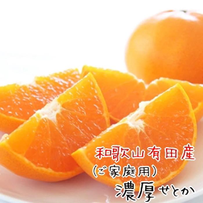 【ふるさと納税】和歌山有田の濃厚せとか（ご家庭用） 約4～5kg ［先行予約］ | くだもの フルーツ 果実 果物 有田 みかん 和歌山　［MS81w］