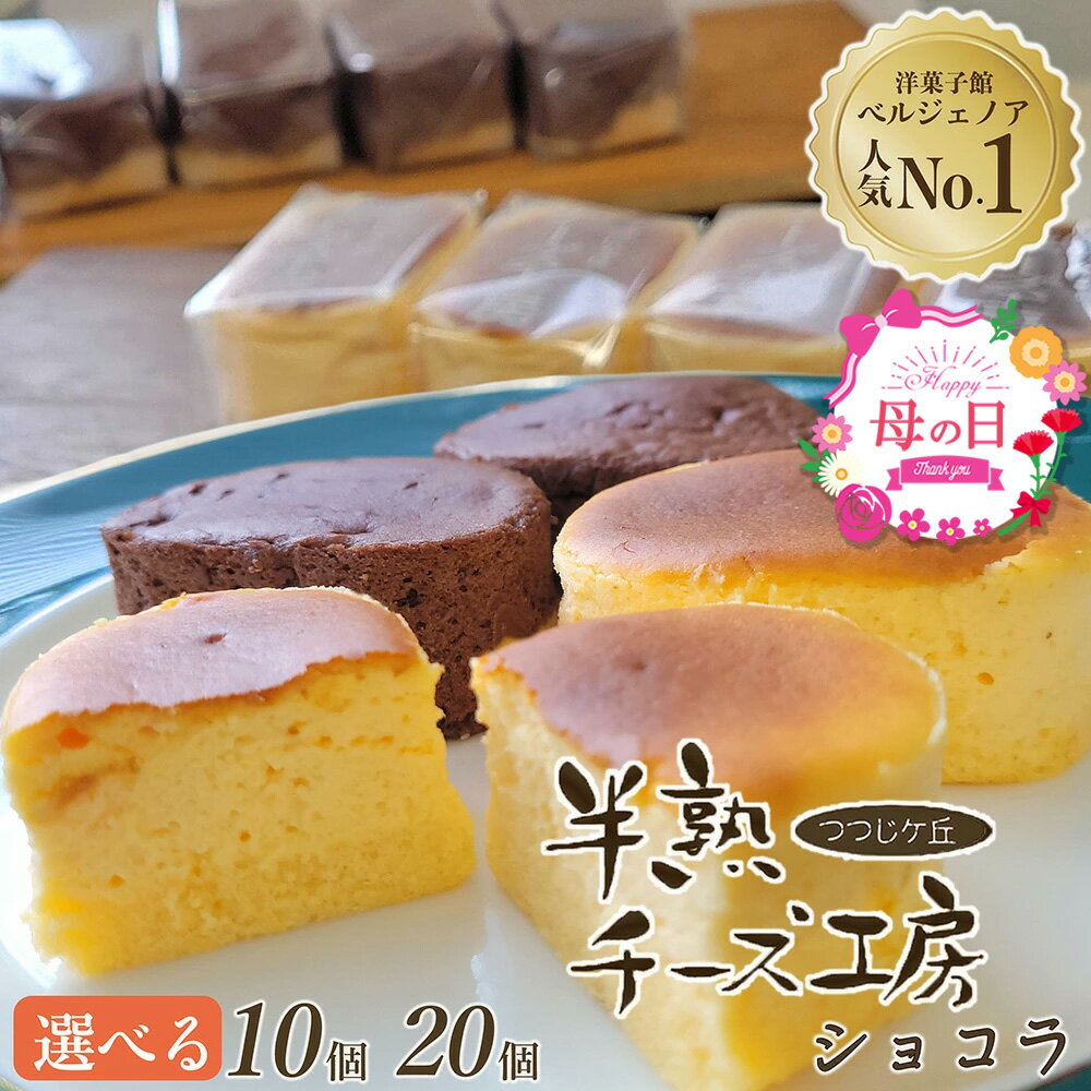 【ふるさと納税】母の日 高評価★4.83 濃厚 半熟チーズケーキ・半熟ショコラ 10個 20個 食べ比べ アソート 選べるセット 個包装 無添加 冷蔵 冷凍 ふるさと納税 スイーツ 半生 スフレ ケーキ チョコケーキ ギフト 洋菓子 プチ贅沢 ふるさと納税 母の日ギフト
